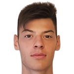 Damir Redzic