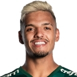 Gabriel Vinicius Menino